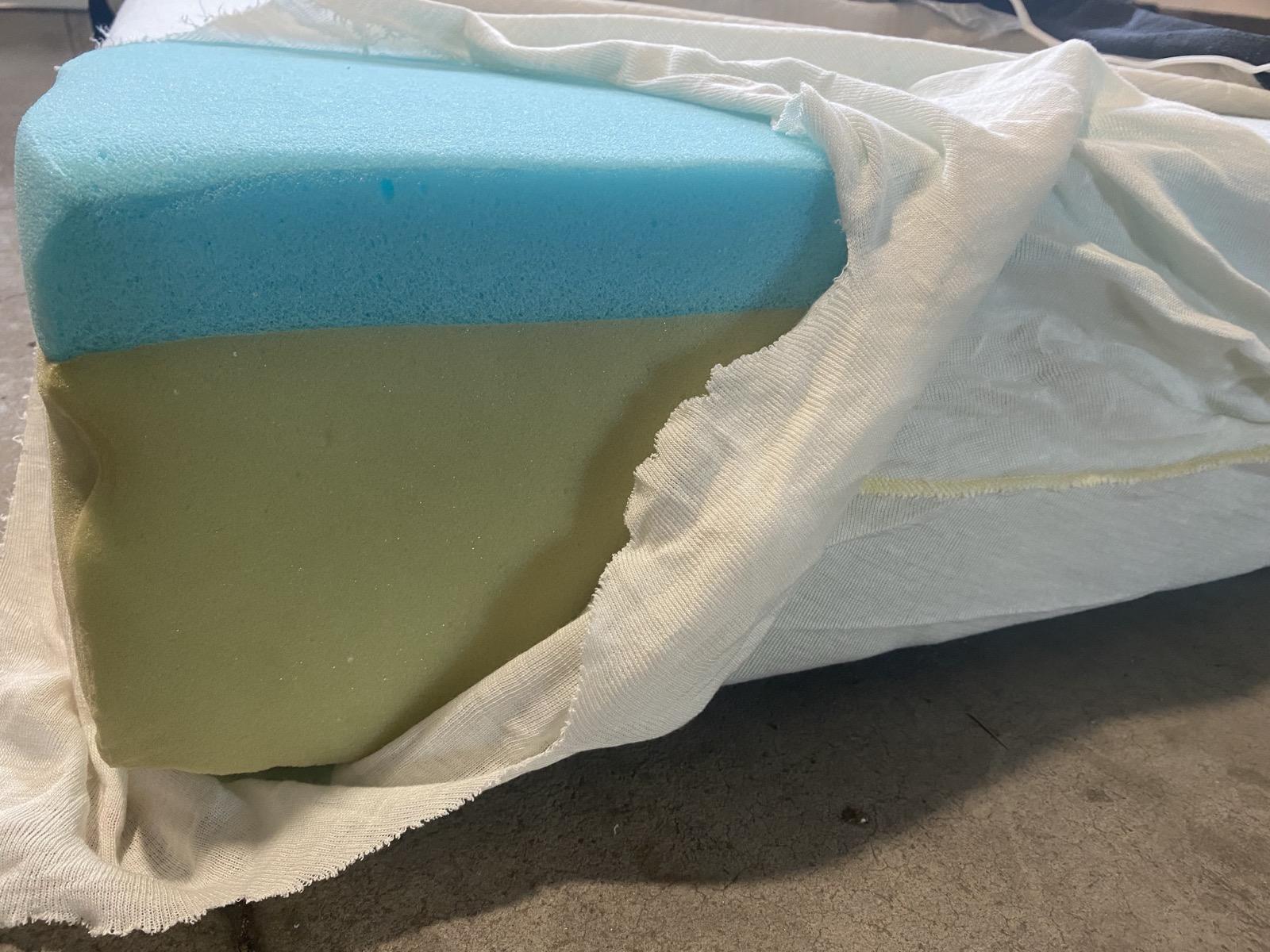 Bear Original foam layers exposed